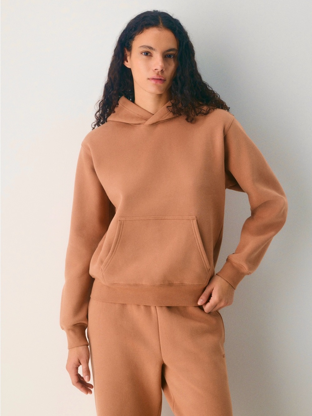 Aritzia - TNA Cozy Sweatfleece Perfect Hoodie